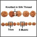 Panchamukhi Rudraksha Mala 108 Beads | Lord Kalagni Rudra | Jupiter | Most Common All in One - Image 2