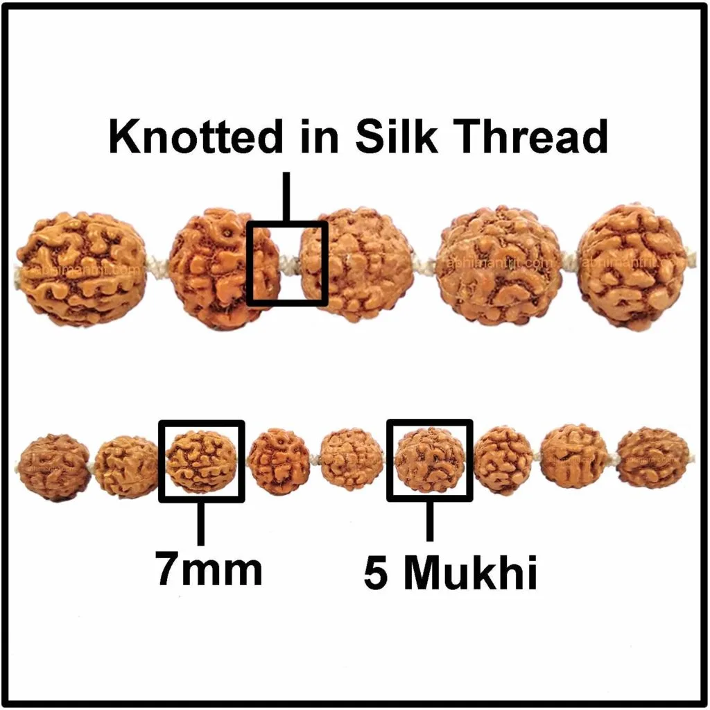 Panchamukhi Rudraksha Mala 108 Beads | Lord Kalagni Rudra | Jupiter | Most Common All in One - Image 2