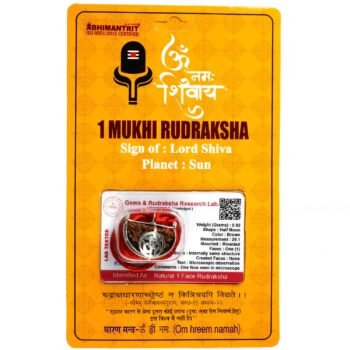 1 Mukhi Rudraksha