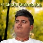 Original 1 Mukhi Rudraksha @ Best Price Abhimantrit‎™