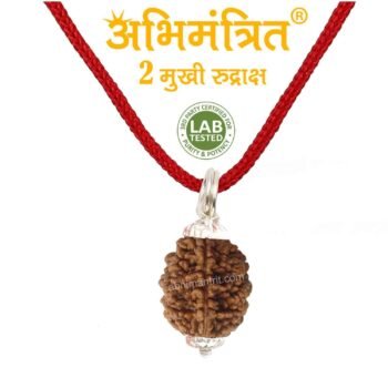 2 Mukhi Rudraksha