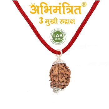 3 Mukhi Rudraksha