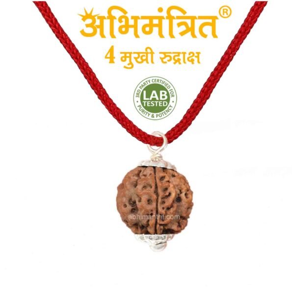 4 Mukhi Rudraksha