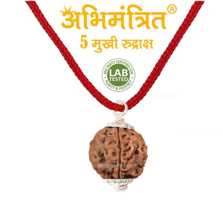 Original 5 Mukhi Rudraksha