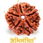 Buy Panchmukhi Rudraksha @ Best Price Abhimantrit®