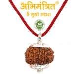 Original 8 Mukhi Rudraksha @ Best Price Abhimantrit®