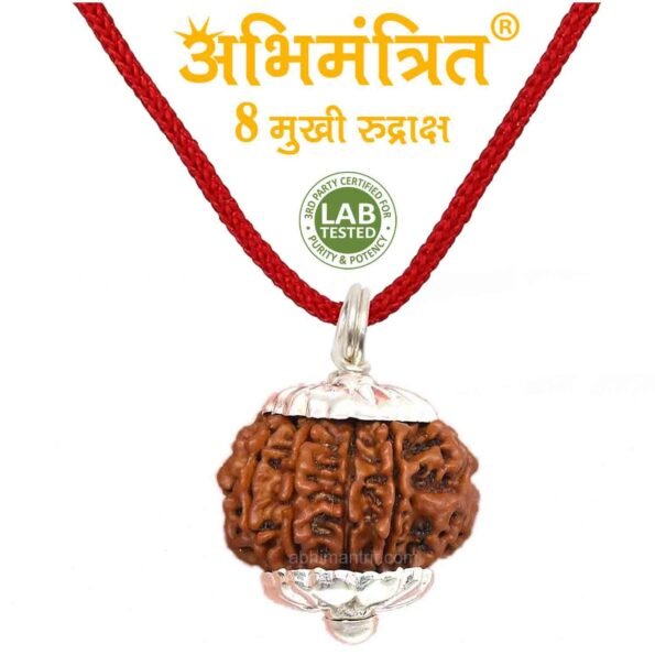 8 Mukhi Rudraksha