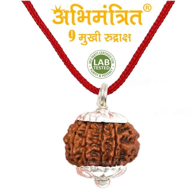 Natural 9 Mukhi Rudraksha