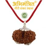 Buy Gauri Shankar Rudraksha @ Best Price Abhimantrit®