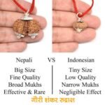 Buy Gauri Shankar Rudraksha @ Best Price Abhimantrit®