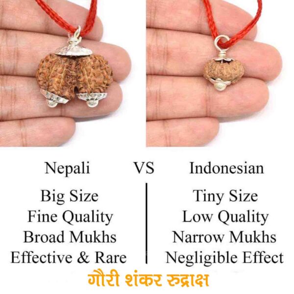 Gauri Shankar Rudraksha Nepali vs Indonesia