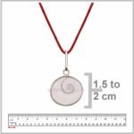 Gomati Chakra Pendant @ Best Price Abhimantrit™