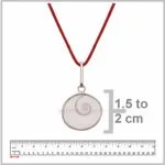 Gomati Chakra Pendant Original - Image 3