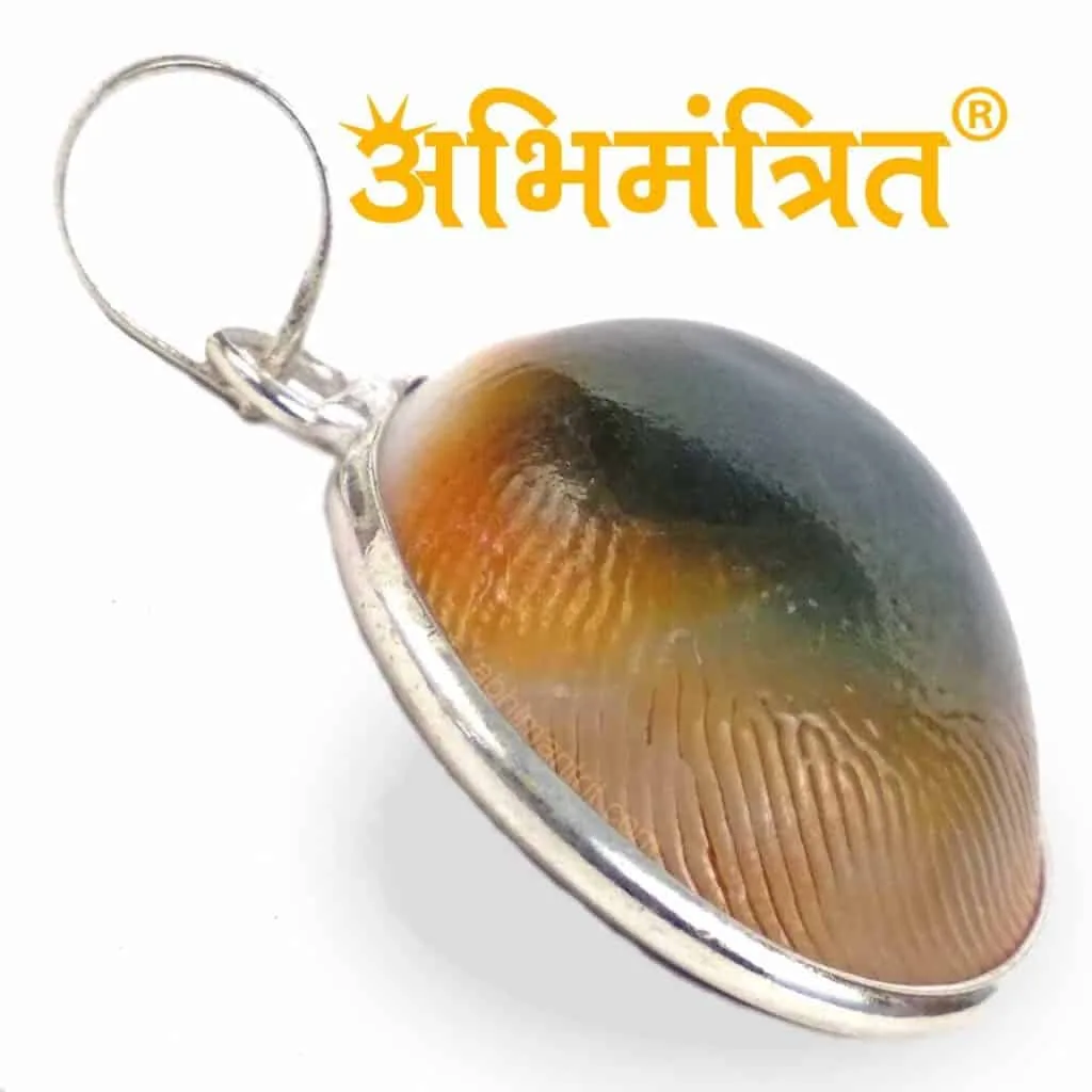 Gomati Chakra Pendant Original - Image 2