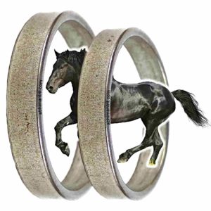 black horse shoe ring