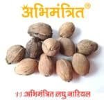 11 Laghu Nariyal at Best Price Abhimantrit™