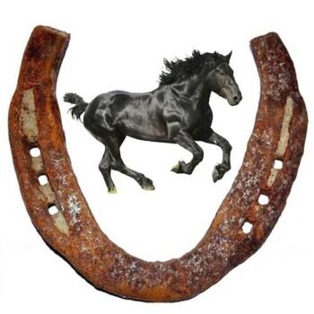 Black Horse Shoe