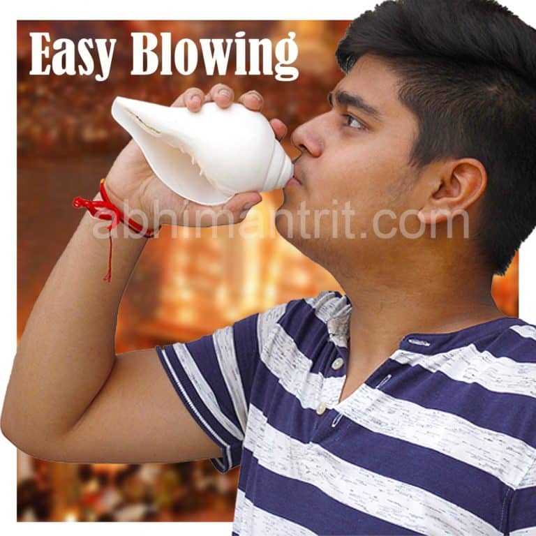 Vishnu Shankh Natural Loud Blowing Big Size Pooja Shankh Glossy White