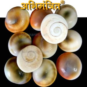 Buy 21 Abhimantrit Gomti Chakra Online at Best Price in India