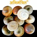 11 Original Gomati Chakra @ Best Price Abhimantrit™