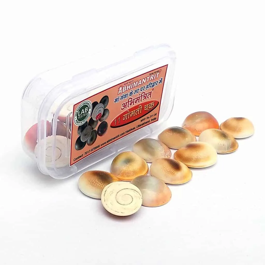 11 Gomati Chakra Attract Money, Good Wealth & Prosperity - Image 2