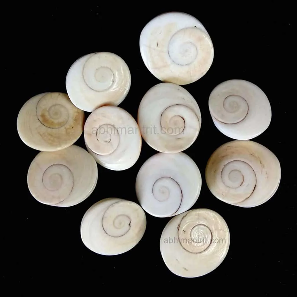 11 Gomati Chakra Attract Money, Good Wealth & Prosperity - Image 4