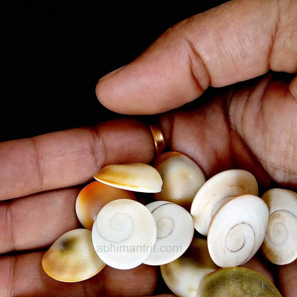 11 Gomati Chakra Attract Money, Good Wealth & Prosperity - Image 3