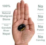 Natural Shaligram Shila