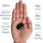 Original Shaligram Stone @ Best Price Abhimantrit®