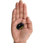 Original Shaligram Stone