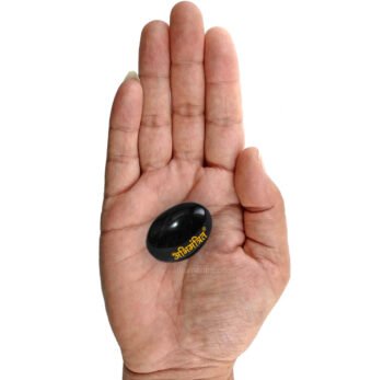 Original Shaligram Stone