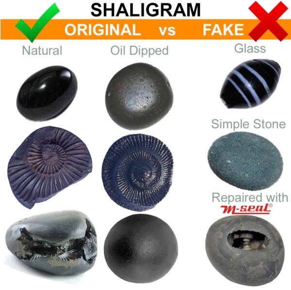 Shaligram Original vs Fake