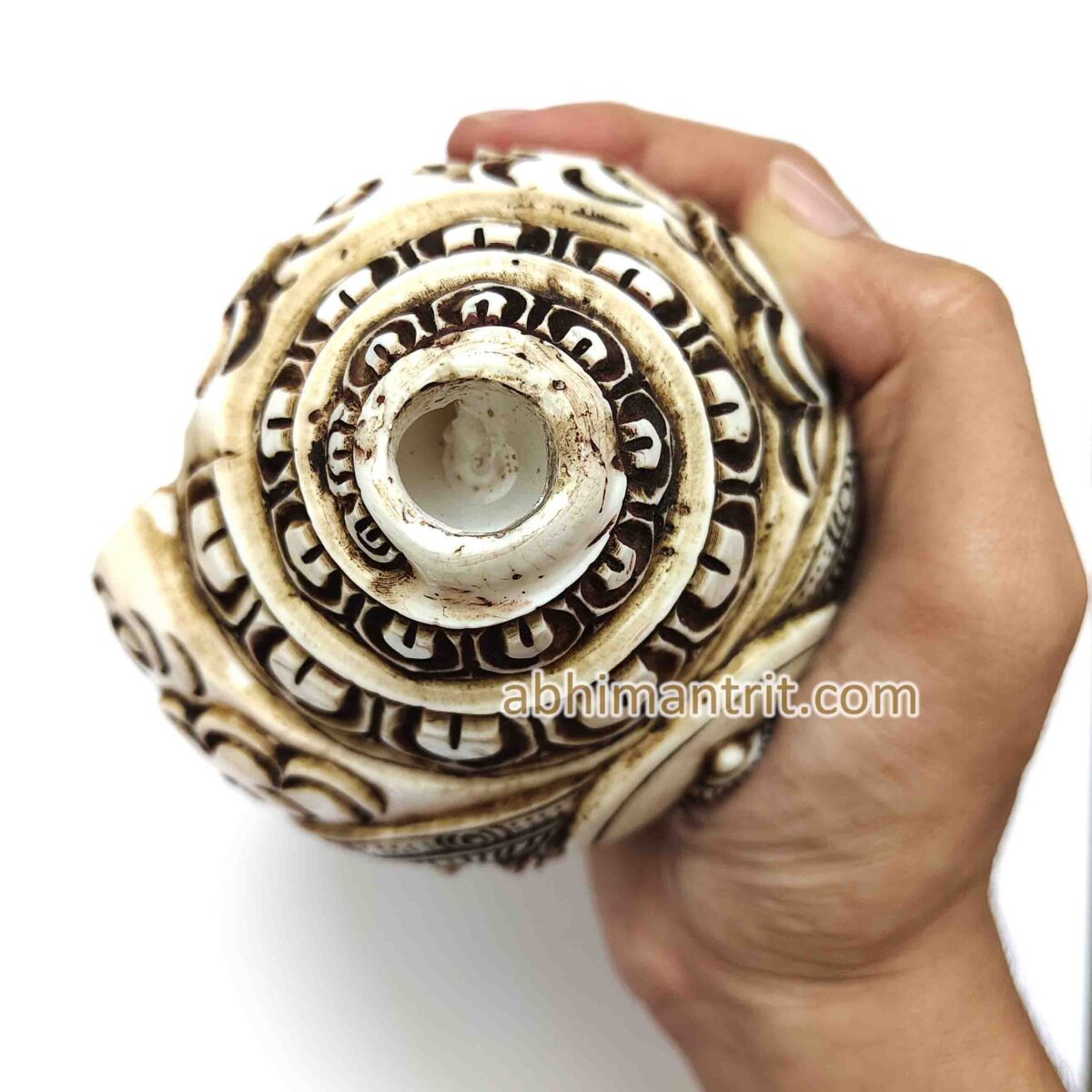 Ganesh Carving Big Size Loud Blowing Shankh - 6 inch - Image 3