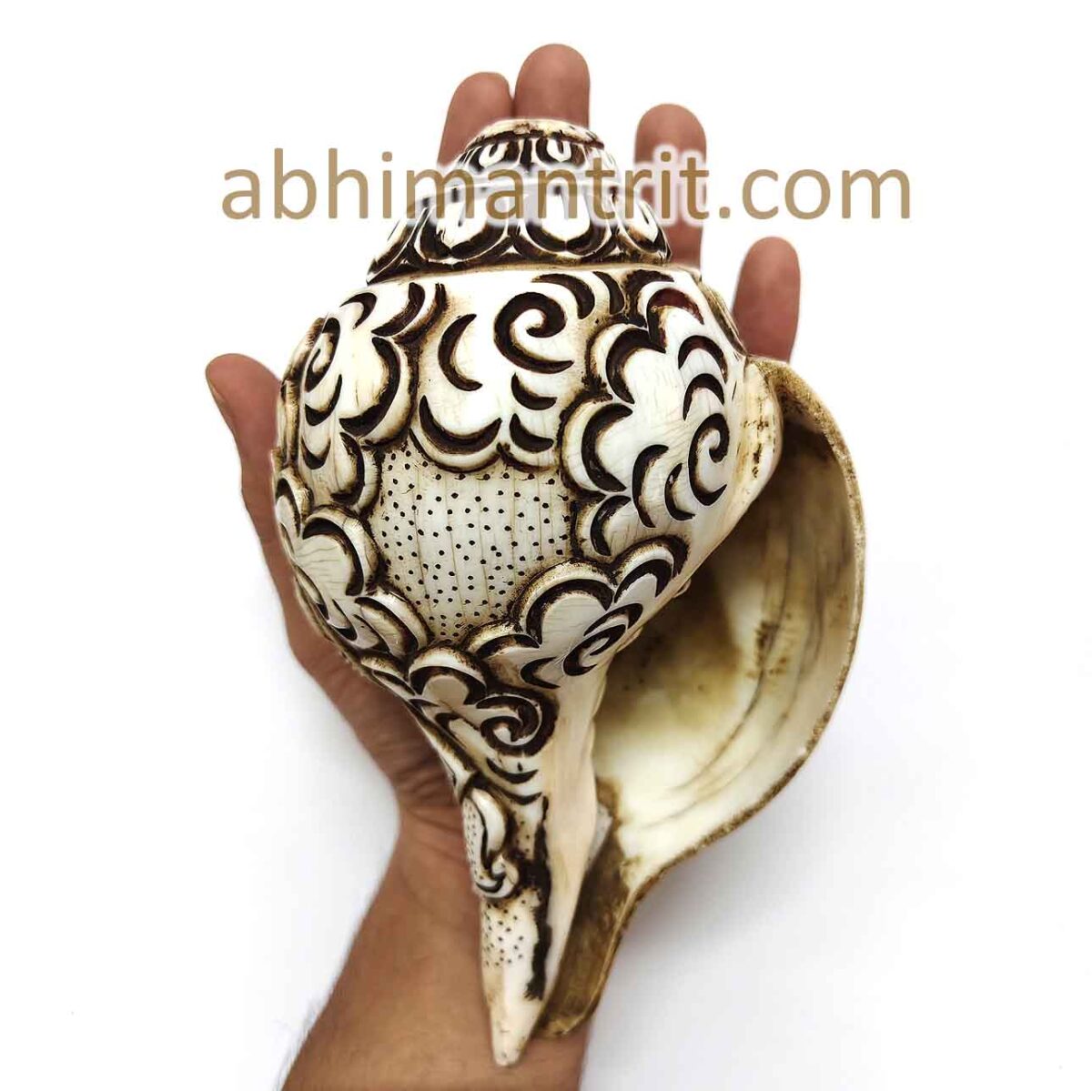 Ganesh Carving Big Size Loud Blowing Shankh - 6 inch - Image 2