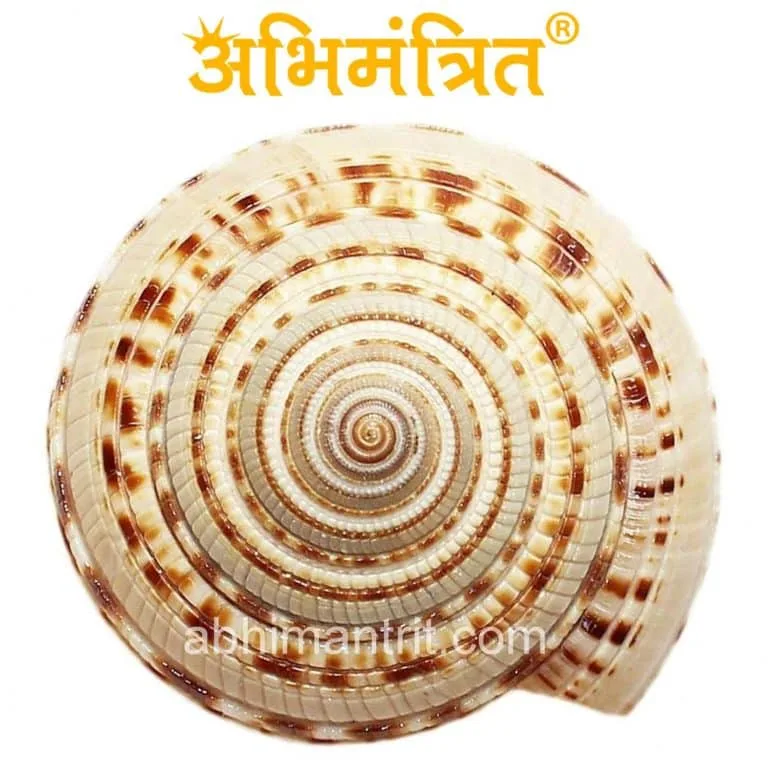 Vishnu Chakra