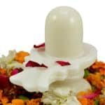 Buy White Stone Shivling at Best Price Abhimantrit™