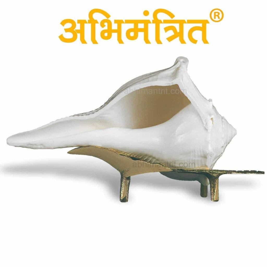 Dakshinavarti Shankh - Natural Right Handed Conch Shell for Pooja & Vastu, Non-Blowing Laxmi Shankha for Wealth and Prosperity, White, 3 to 10 Inch