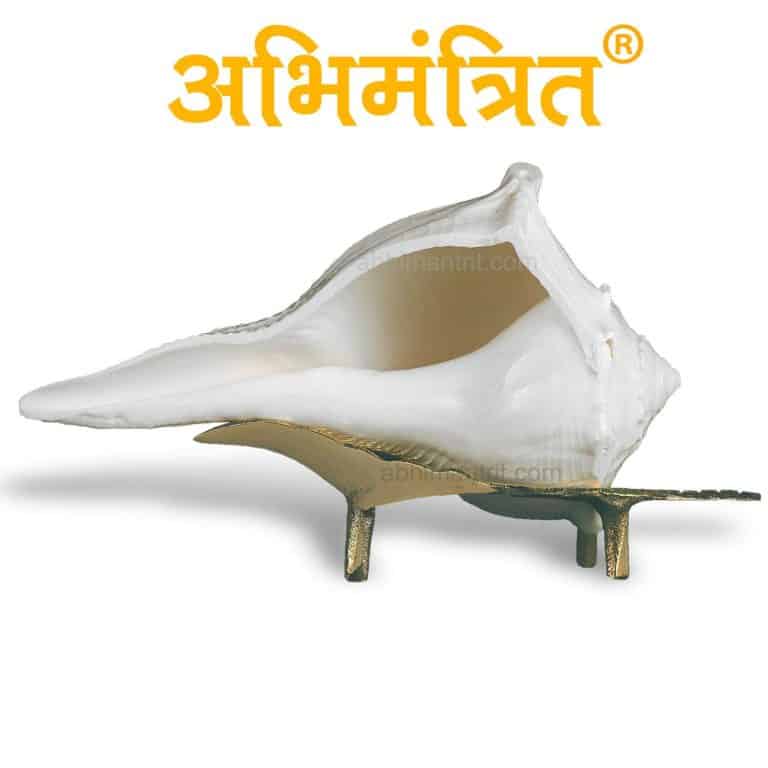 Dakshinavarti Shankh - Natural Right Handed Conch Shell for Pooja & Vastu, Non-Blowing Laxmi Shankha for Wealth and Prosperity, White, 3 to 10 Inch