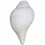 Lord krishna's Carving Big Size Blowing Shankh