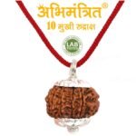 Buy 10 Mukhi Rudraksha Best Price Abhimantrit™