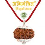13 Mukhi Rudraksha
