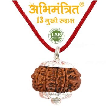 13 Mukhi Rudraksha