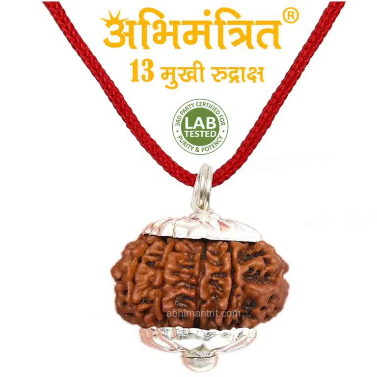 13 Mukhi Rudraksha