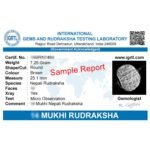 21 Mukhi Rudraksha @ Best Price Abhimantrit®