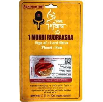 1 Mukhi Rudraksha