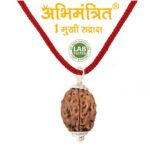 1 Mukhi Rudraksha Indonesia