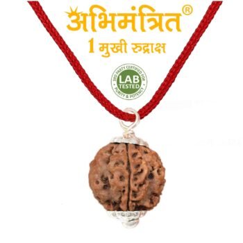 1 Mukhi Rudraksha Nepali