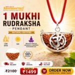 1 Mukhi Rudraksha