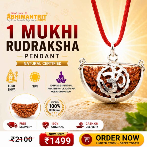 1 Mukhi Rudraksha