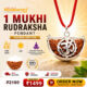 1 Mukhi Rudraksha